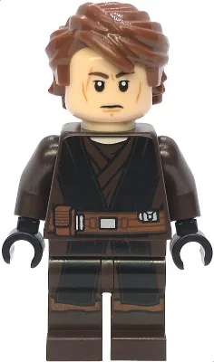 2025-sw1398-anakin-skywalker-dark-brown-and-black-robe-black-hands